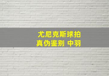 尤尼克斯球拍真伪鉴别 中羽